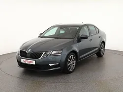 Grau Gebraucht 2017 Skoda Octavia Limousine | 18.990 € (Teuer)