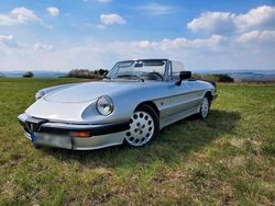 Silber Gebraucht 1987 Alfa Romeo Spider Cabrio | 12.000 €