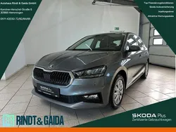 Grau Gebraucht 2024 Skoda Fabia Selection Kleinwagen | 19.399 € (Guter Preis)