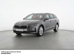 Grau Gebraucht 2025 Skoda Octavia Selection Kombi | 29.960 € (Guter Preis)