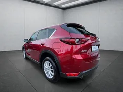 Rot Gebraucht 2019 Mazda CX-5 SUV | 25.099 € (Fairer Preis)