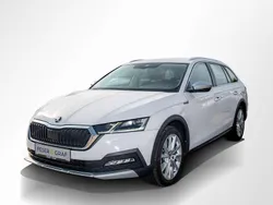 Candy weiss Gebraucht 2022 Skoda Octavia Kombi | 21.940 € (Fairer Preis)