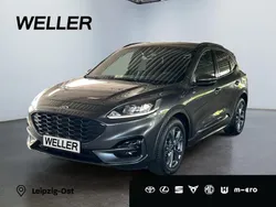 Grau Gebraucht 2024 Ford Kuga ST-Line SUV | 27.990 € (Guter Preis)