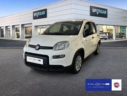 Weiß Neu 2025 Fiat Panda Kleinwagen | 13.990 € (Fairer Preis)