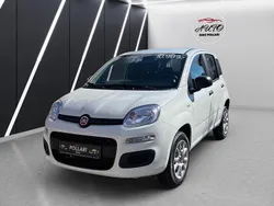 Weiß Gebraucht 2020 Fiat Panda Easy Kleinwagen | 9.990 € (Fairer Preis)