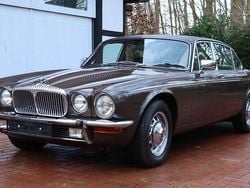 Mink Gebraucht 1979 Daimler Double Six Serie 1 Limousine | 30.500 €