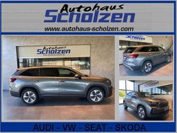 Graphit grau Gebraucht 2024 Skoda Kodiaq Selection SUV | 47.890 € (Fairer Preis)