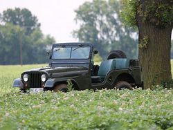 Grün Gebraucht 1965 Jeep Willys | 13.899 €