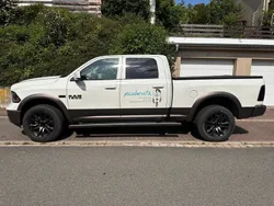 Weiß Gebraucht 2016 Dodge Ram Abholung | 34.200 € (Guter Preis)