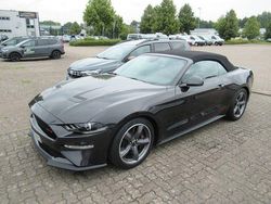 Gebraucht 2024 Ford Mustang GT Convertible Cabrio | 52.800 € (Etwas zu teuer)