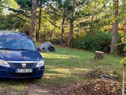 Blau Gebraucht 2009 Dacia Logan MCV Kombi | 3.000 €