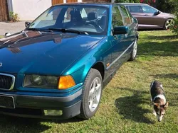 Grün Gebraucht 1997 BMW 316 Limousine | 1.999 € (Fairer Preis)
