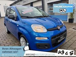Blau Neu 2025 Fiat Panda Limousine | 14.990 € (Fairer Preis)