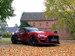 Rot Gebraucht 2019 Ford Mustang GT Performance Edition | 27.555 € (Fairer Preis)