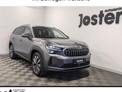 Grau Gebraucht 2025 Skoda Kodiaq Selection SUV | 53.750 € (Teuer)