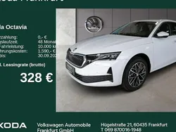 Grau Neu 2025 Skoda Octavia Selection Kombi | 35.480 € (Fairer Preis)