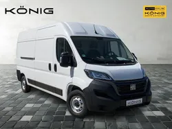 Weiß Gebraucht 2023 Fiat Ducato Van | 33.990 € (Fairer Preis)