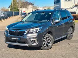 Grau Gebraucht 2021 Subaru Forester Comfort SUV | 22.299 €