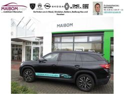 Blackmagic perleffekt Gebraucht 2024 Skoda Kodiaq Selection SUV | 49.900 € (Fairer Preis)
