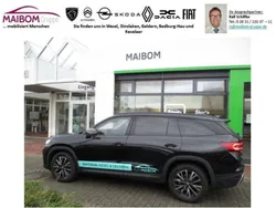 Blackmagic perleffekt Gebraucht 2024 Skoda Kodiaq Selection SUV | 49.900 € (Etwas zu teuer)