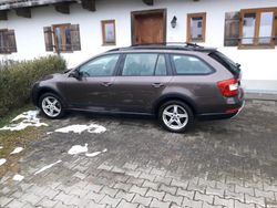 Braun Gebraucht 2015 Skoda Octavia Scout Scout 4x4 Kombi | 13.900 € (Etwas zu teuer)