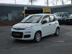 Colore esterno (weiss) Gebraucht 2020 Fiat Panda Urban Kleinwagen | 9.500 € (Guter Preis)