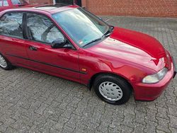 Rot Gebraucht 1993 Honda Civic Limousine | 7.777 €