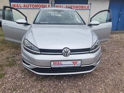Grau Gebraucht 2019 VW Golf VII Kombi | 13.985 € (Guter Preis)