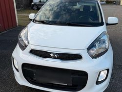 Weiß Gebraucht 2016 Kia Picanto Kleinwagen | 4.000 € (Guter Preis)