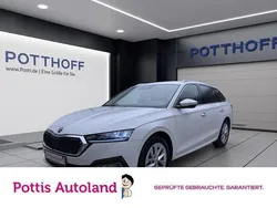Candyweiss Gebraucht 2023 Skoda Octavia Style Kombi | 26.877 € (Guter Preis)