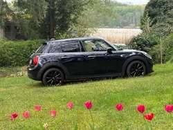 Blau Gebraucht 2020 Mini Cooper Kleinwagen | 21.000 € (Etwas zu teuer)