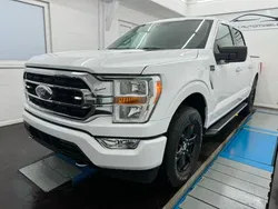 Weiss Gebraucht 2021 Ford F-150 XLT Abholung | 39.990 € (Etwas zu teuer)