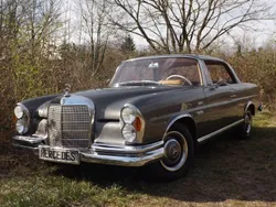 Grau Gebraucht 1964 Mercedes 220 Coupé | 36.850 €