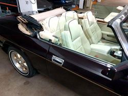 Schwarz Gebraucht 1994 Jaguar XJS Cabrio | 39.990 €