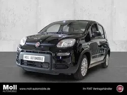 Schwarz Gebraucht 2024 Fiat Panda Kleinwagen | 14.975 € (Fairer Preis)