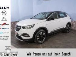 Blanc banquise (509c) Gebraucht 2020 Opel Grandland X Innovation SUV | 22.690 € (Teuer)
