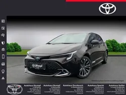 Braun Gebraucht 2024 Toyota Corolla Team Limousine | 31.990 € (Teuer)