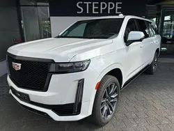 Weiß Gebraucht 2024 Cadillac Escalade SUV | 104.500 €