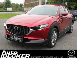 Rot Gebraucht 2021 Mazda CX-30 SUV | 20.990 € (Fairer Preis)