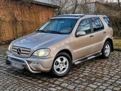 Gold Gebraucht 2002 Mercedes ML270 SUV | 7.900 €