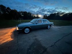 Grau Gebraucht 1993 Jaguar XJ Limousine | 13.700 €