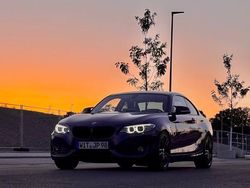 Blau Gebraucht 2015 BMW 220 Advantage Coupé | 18.500 € (Etwas zu teuer)