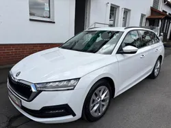 Weiß Gebraucht 2020 Skoda Octavia Ambition Kombi | 14.990 € (Fairer Preis)