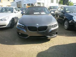 Mineralgrau metallic Gebraucht 2019 BMW 218 Sport Line Cabrio | 21.870 € (Fairer Preis)