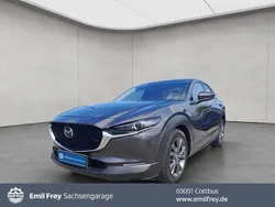 Matrixgrau metallic Gebraucht 2020 Mazda CX-30 Selection SUV | 23.440 € (Fairer Preis)