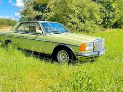 Grün Gebraucht 1979 Mercedes 230 Coupé | 6.800 €