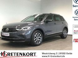 Delfingrau Gebraucht 2020 VW Tiguan Life SUV | 25.950 € (Teuer)