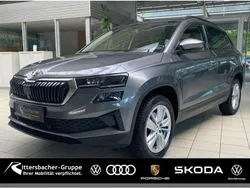 (graphitegrau metallic) Gebraucht 2024 Skoda Karoq Selection SUV | 30.990 € (Guter Preis)