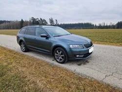 Grau Gebraucht 2016 Skoda Octavia Ambition Kombi | 9.100 € (Fairer Preis)