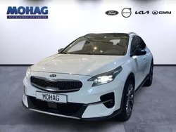 Weiss Gebraucht 2021 Kia XCeed Platinum Edition SUV | 17.990 € (Fairer Preis)